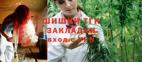 гидра Волоколамск
