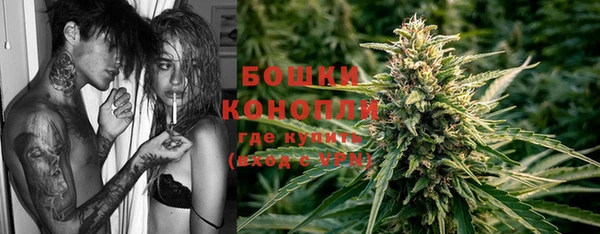 стаф Верея