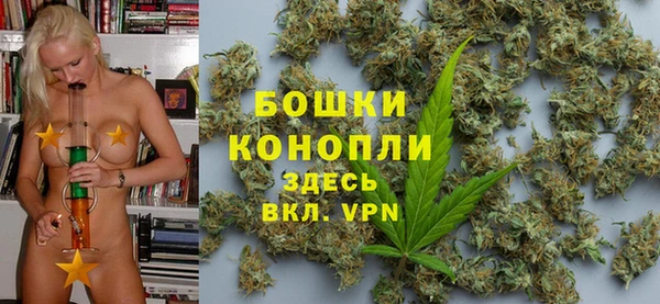 гидра Волоколамск